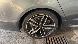 IMG_6875.jpeg