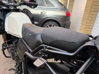 IMG_9965.jpeg