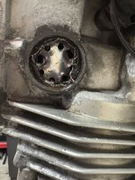IMG_2940.jpeg IMG_2940.jpeg