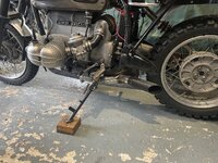 IMG_3380.jpeg IMG_3380.jpeg