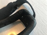 IMG_8031.jpeg