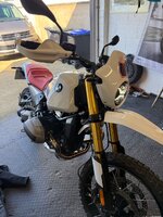 IMG_2595.jpeg