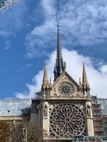 IMG_3464.jpeg