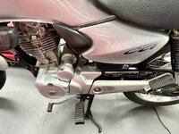 IMG_1029.jpeg