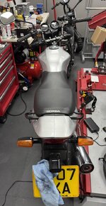 IMG_1028.jpeg