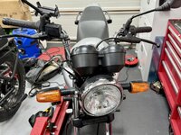 IMG_1031.jpeg