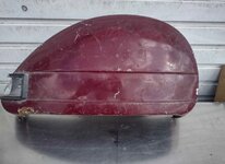 IMG_2254.jpeg