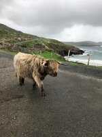 IMG_0747.jpeg
