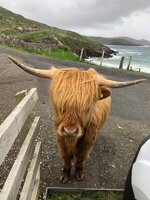 IMG_0745.jpeg