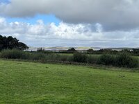 IMG_0771.jpeg