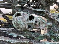 IMG_0773.jpeg