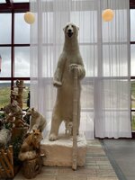 IMG_6300.jpeg