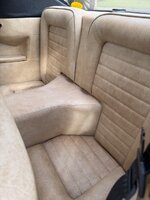 IMG_4313.jpeg