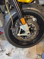 IMG_6450.jpeg IMG_6450.jpeg