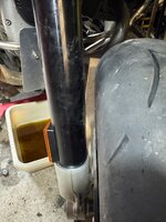 IMG_6452.jpeg IMG_6452.jpeg