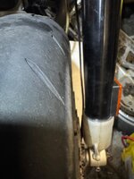 IMG_6453.jpeg IMG_6453.jpeg