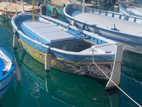 IMG_3531.jpeg