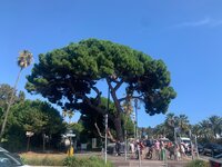 IMG_3536.jpeg