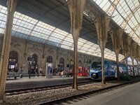 IMG_3557.jpeg