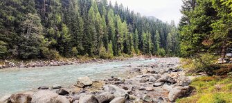 IMG20250827101058-EDIT.jpg