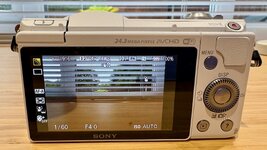 IMG_8772.jpeg