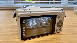 IMG_8771.jpeg