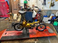 IMG_1843.jpeg