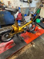 IMG_1838.jpeg