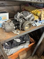 IMG_1831.jpeg