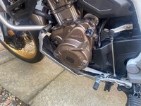 IMG_0648.jpeg
