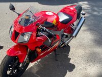 IMG_0713.jpeg