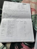 IMG_0722.jpeg