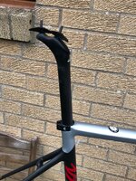 IMG_1487.jpeg