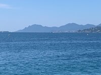 IMG_3608.jpeg