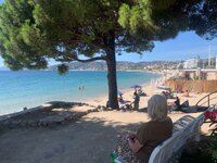 IMG_3598.jpeg