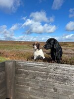 IMG_0613.jpeg