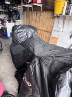 IMG_8585.jpeg