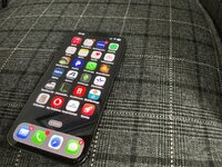 IMG_0252.jpeg