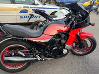 IMG_6284.jpeg