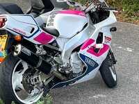 IMG_6288.jpeg