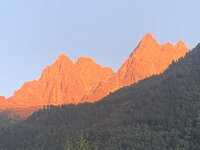 IMG_3680.jpeg