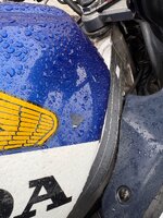 IMG_0404.jpeg