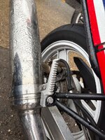 IMG_0403.jpeg