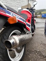 IMG_0398.jpeg
