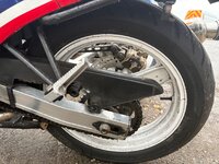 IMG_0397.jpeg