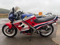 IMG_0392.jpeg