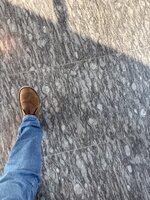 IMG_4600.jpeg