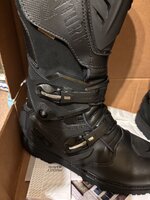 IMG_2768.jpeg
