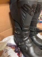 IMG_2767.jpeg