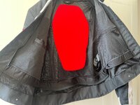 IMG_6301.jpeg